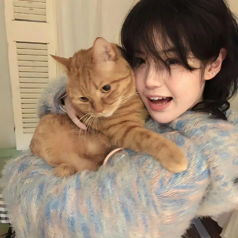 太空熊猫总动员